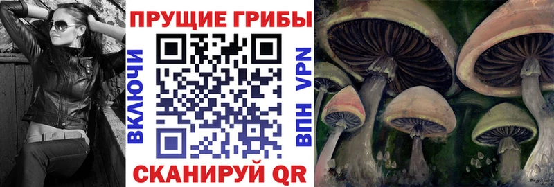 Псилоцибиновые грибы MAGIC MUSHROOMS  Хадыженск 